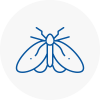 Moth Control Specialists In Boness